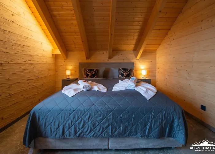 Дом отдыха Auszeit Im Harz - Haus 9 Blockhaus Alina